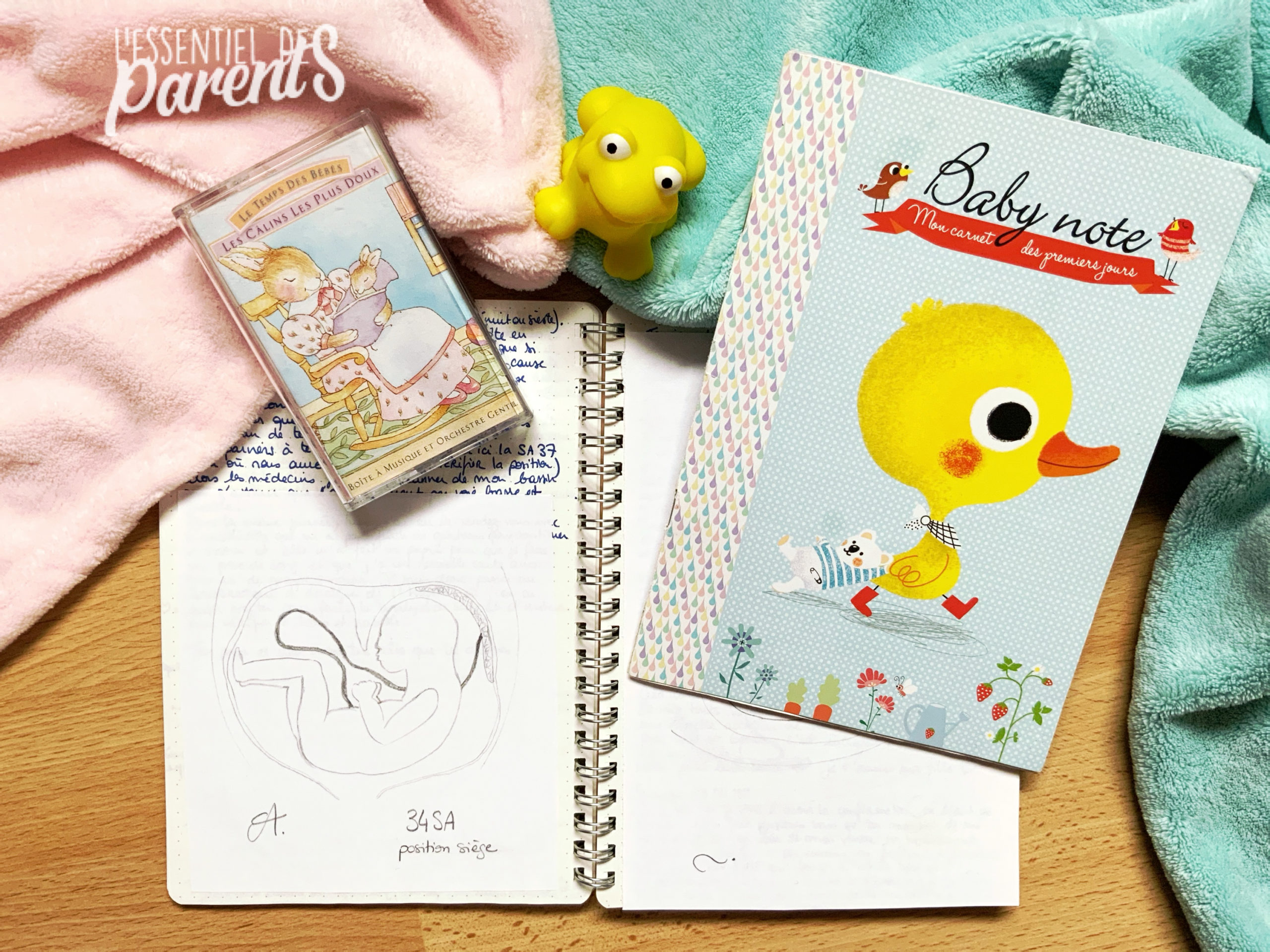 Fille Ou Garcon 5 Raisons De Connaitre Le Sexe De Bebe L Essentiel Des Parents